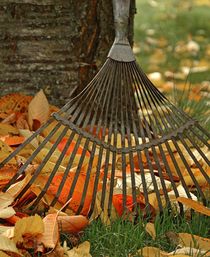 MULTI SERVICES HABITAT