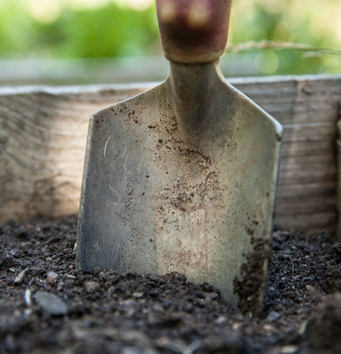 Ramonage cheminée Cognac
