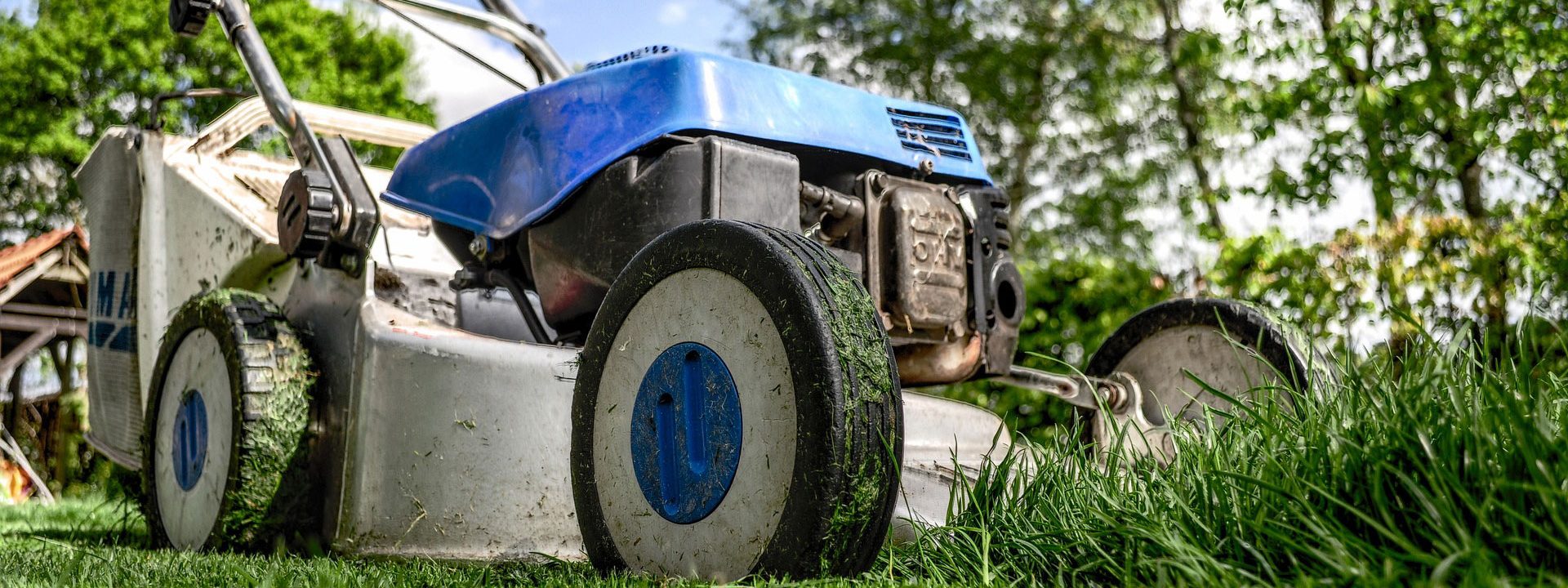 Taille de haie à Angoulême