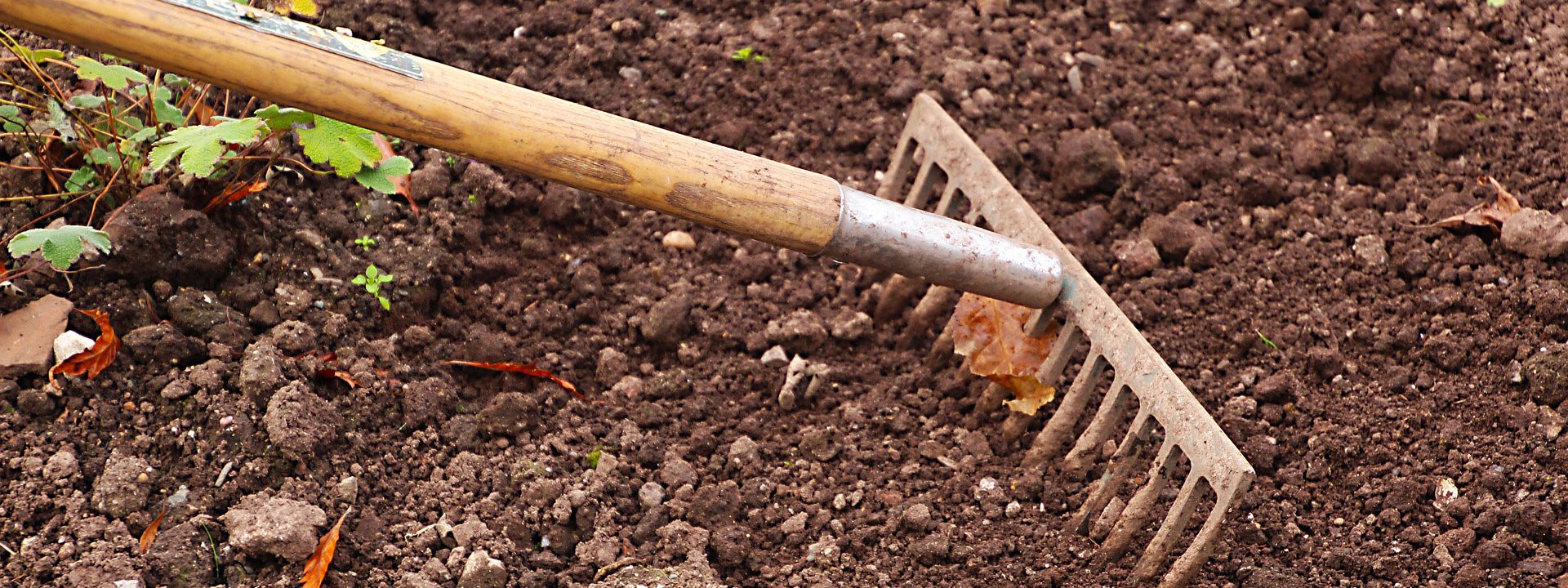 Entretien de jardin à Cognac
