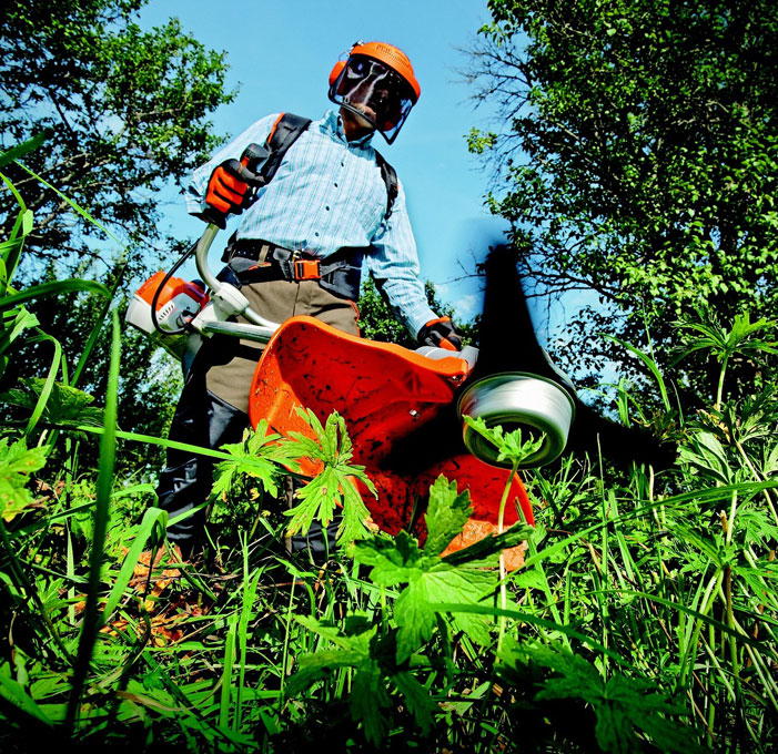 Taille de haie Angoulême et Cognac